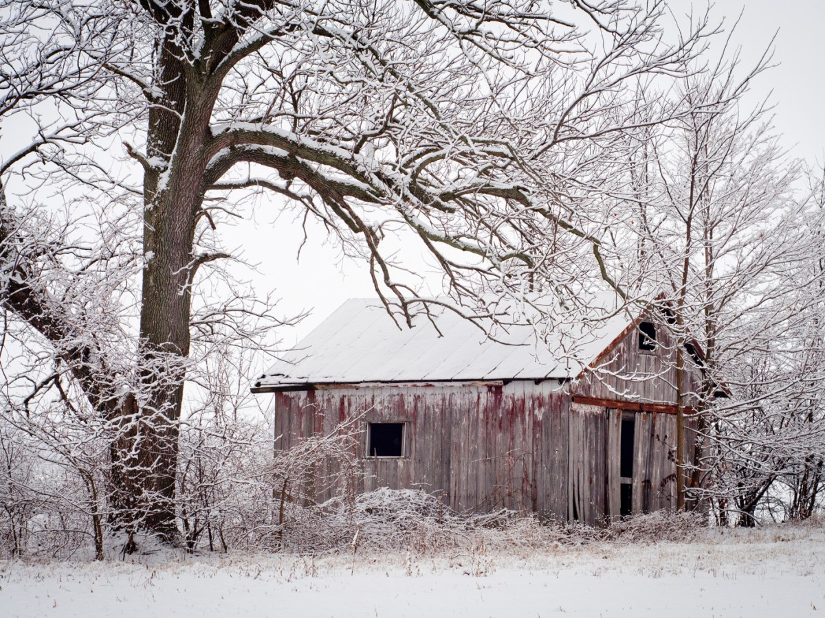 Historian Unravels A Killer Story; Long-Overlooked Conn. Case Was First Mass&nbsp;Murder