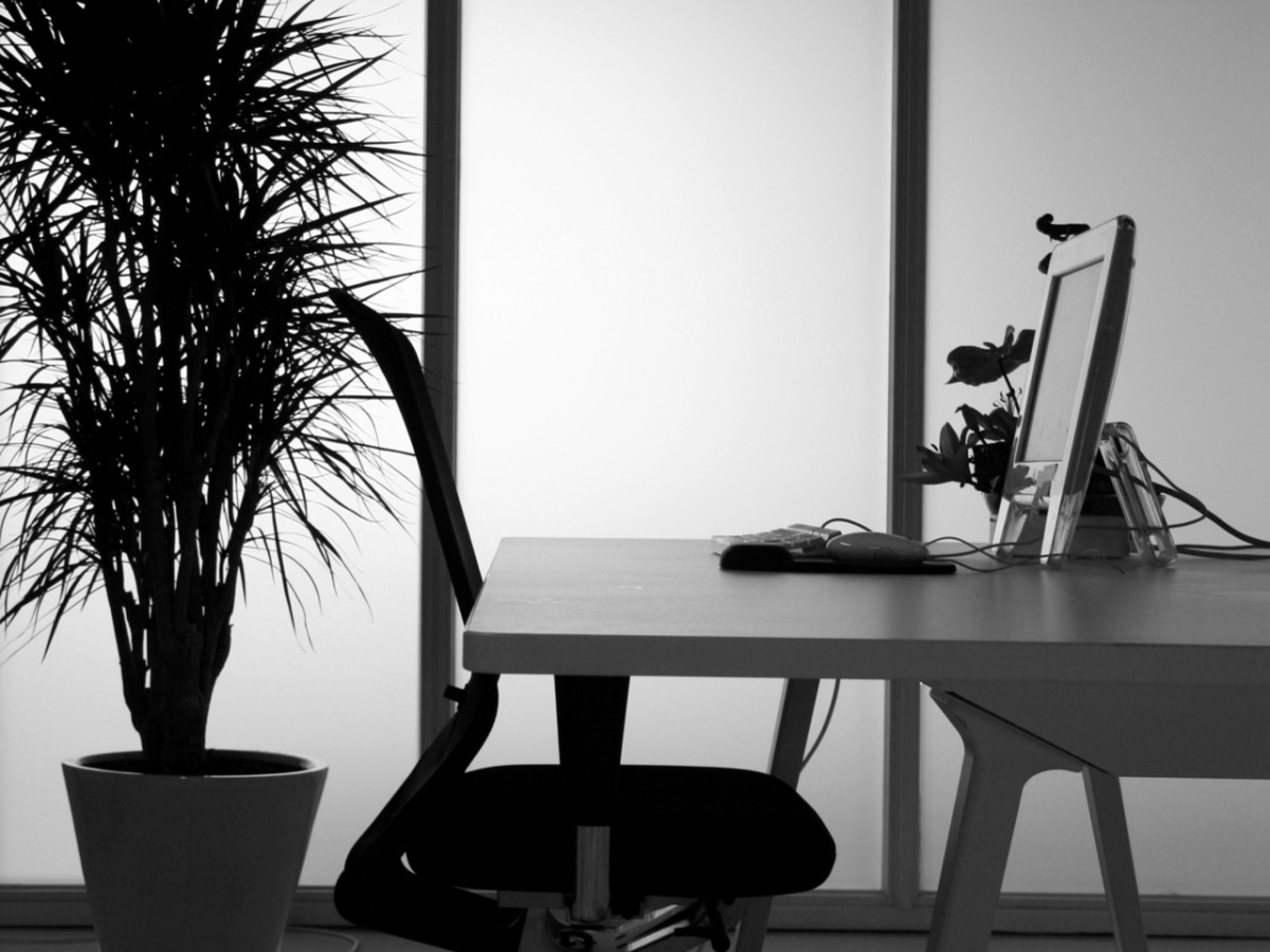 Finding Greatness at a Job I Never&nbsp;Wanted