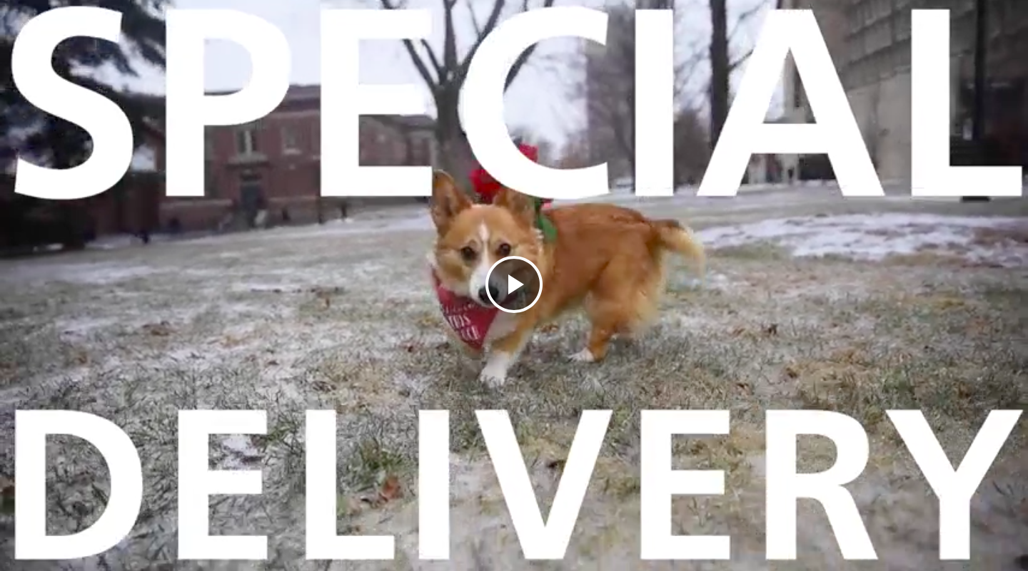 Screen Shot 2020-03-08 at 9.23.59 PM