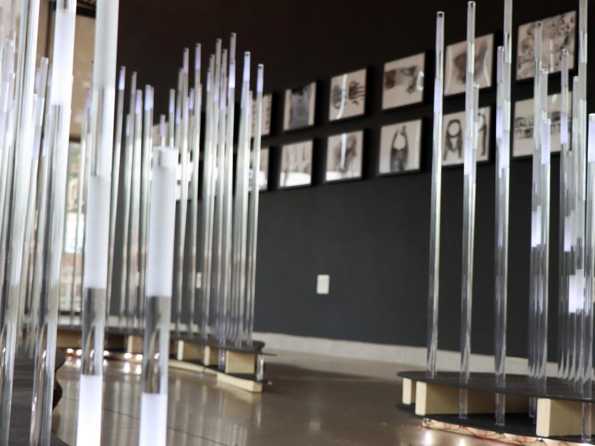 Art Exhibit, ‘In the Wake,’ Offers Poetic Interpretation of&nbsp;Science